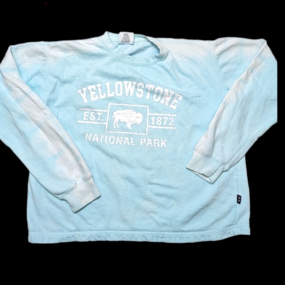 Yellowstone Bison Sweatshirt - National Park Geyser Shirt Women's Size XL